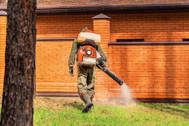 Trusted Mosquito Control service in Westfield, MA - Nex Pest Control